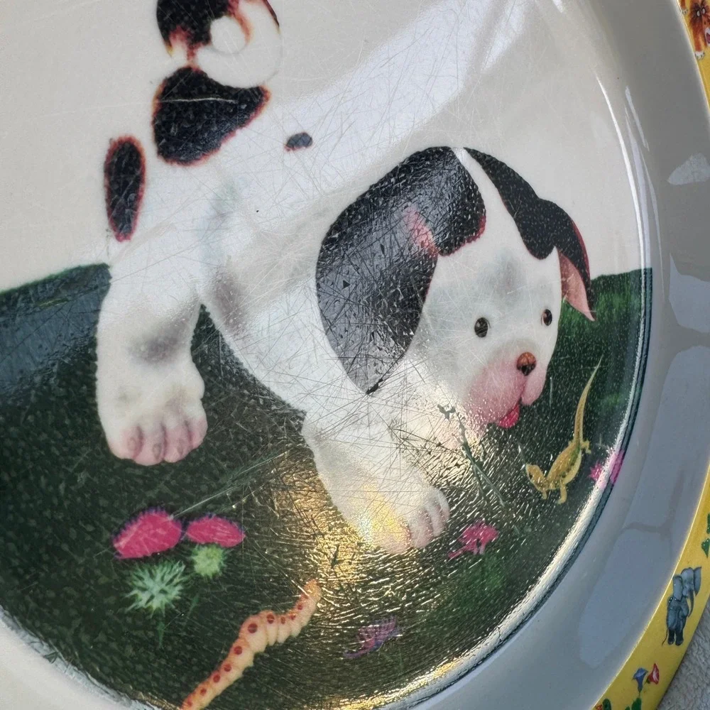 World Market Melamine Plates 9